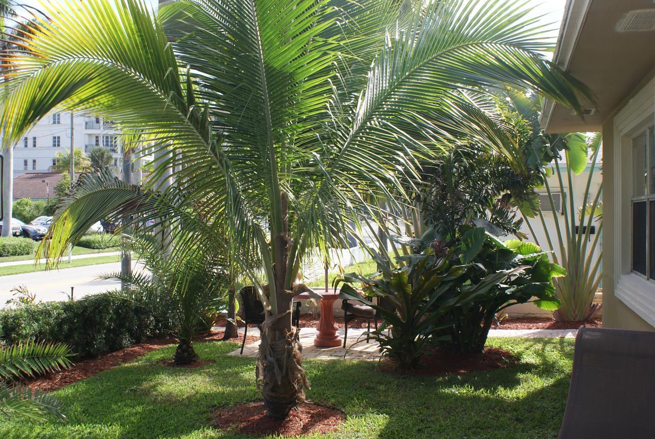 Atlantic Shores Vacation Villas Palm Beach Shores Bagian luar foto